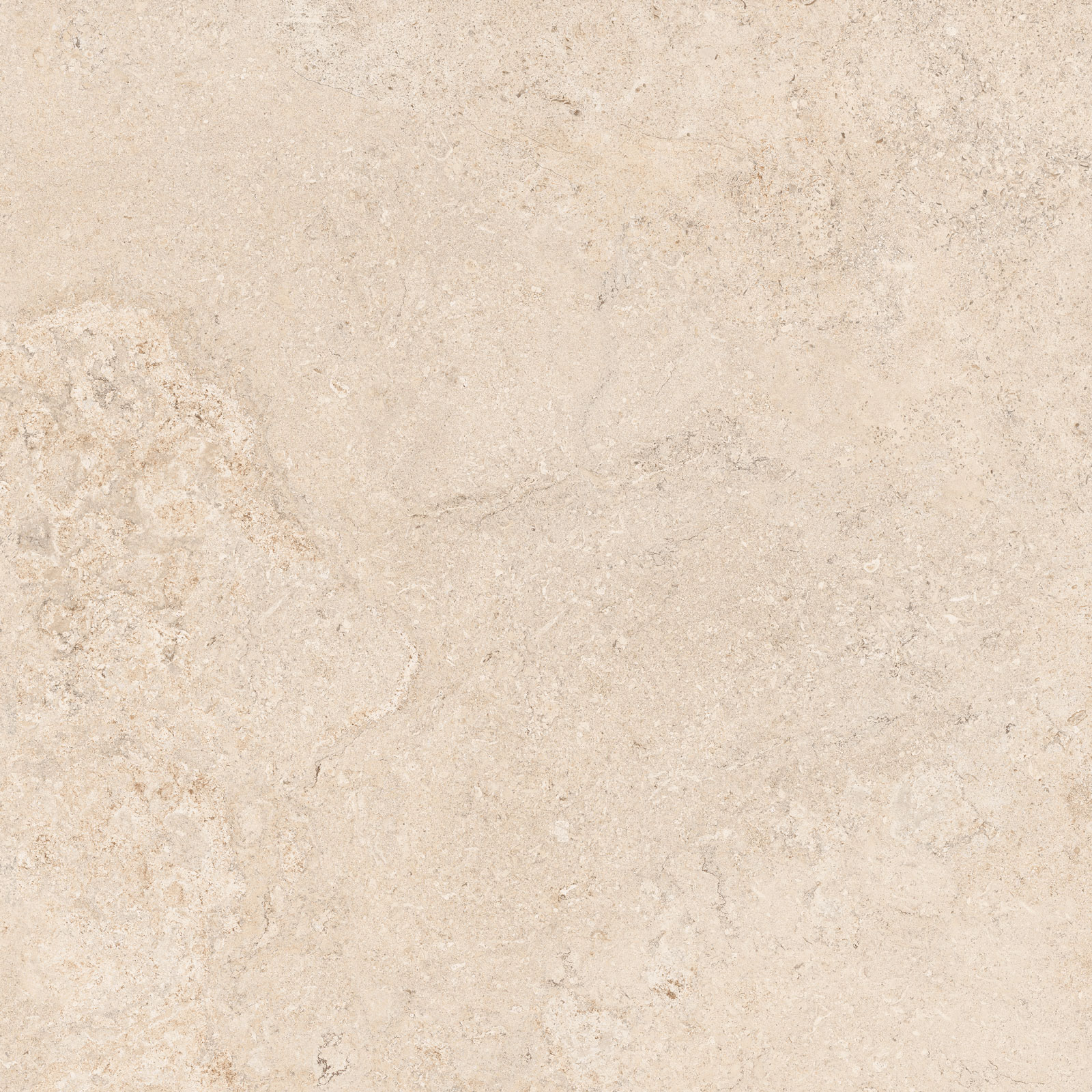 Dorset White